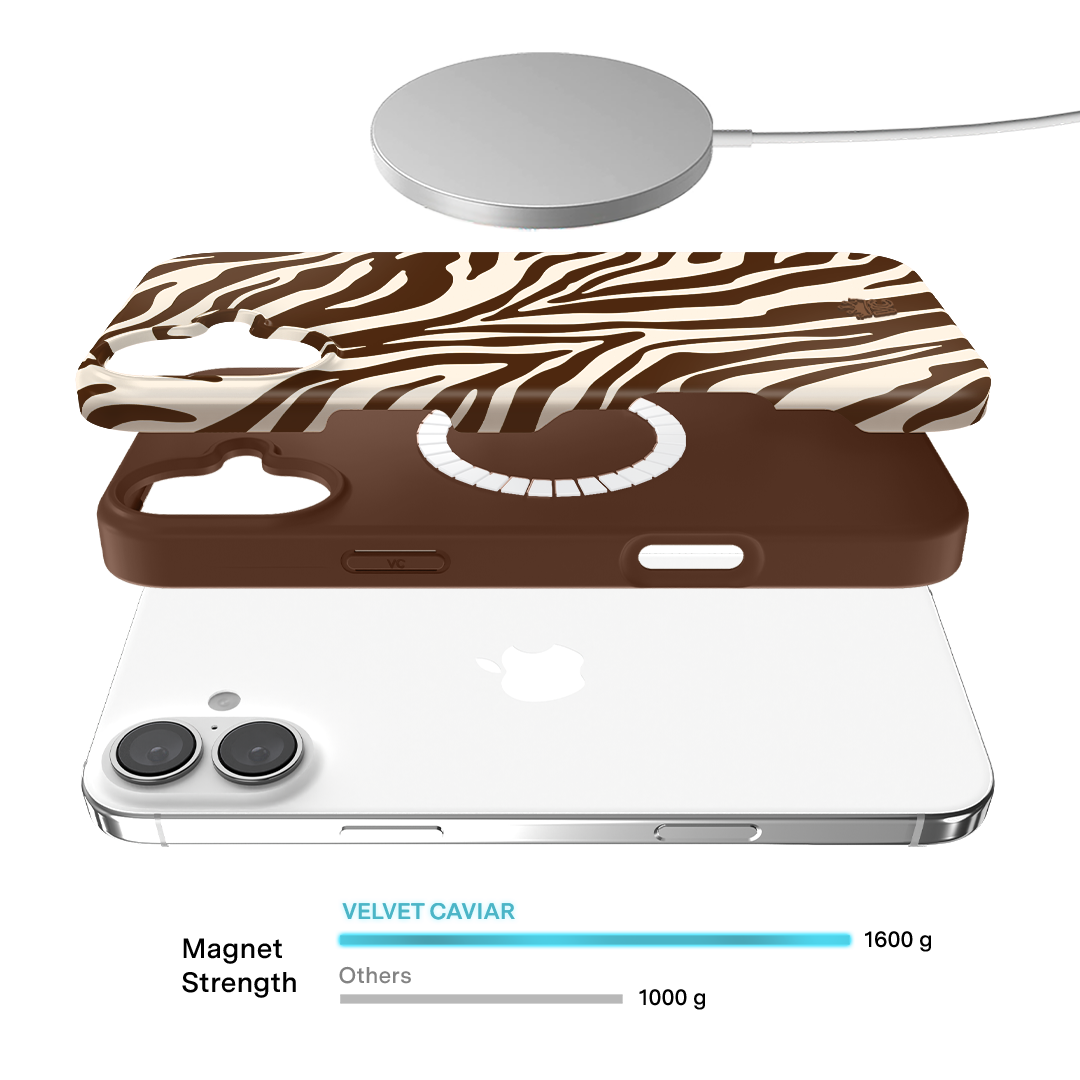 Coco Zebra iPhone Case