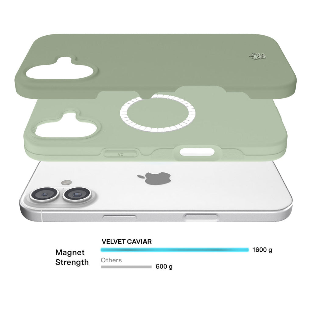 Smoky Sage iPhone Case