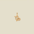 Capricorn Zodiac Charm | Final Sale