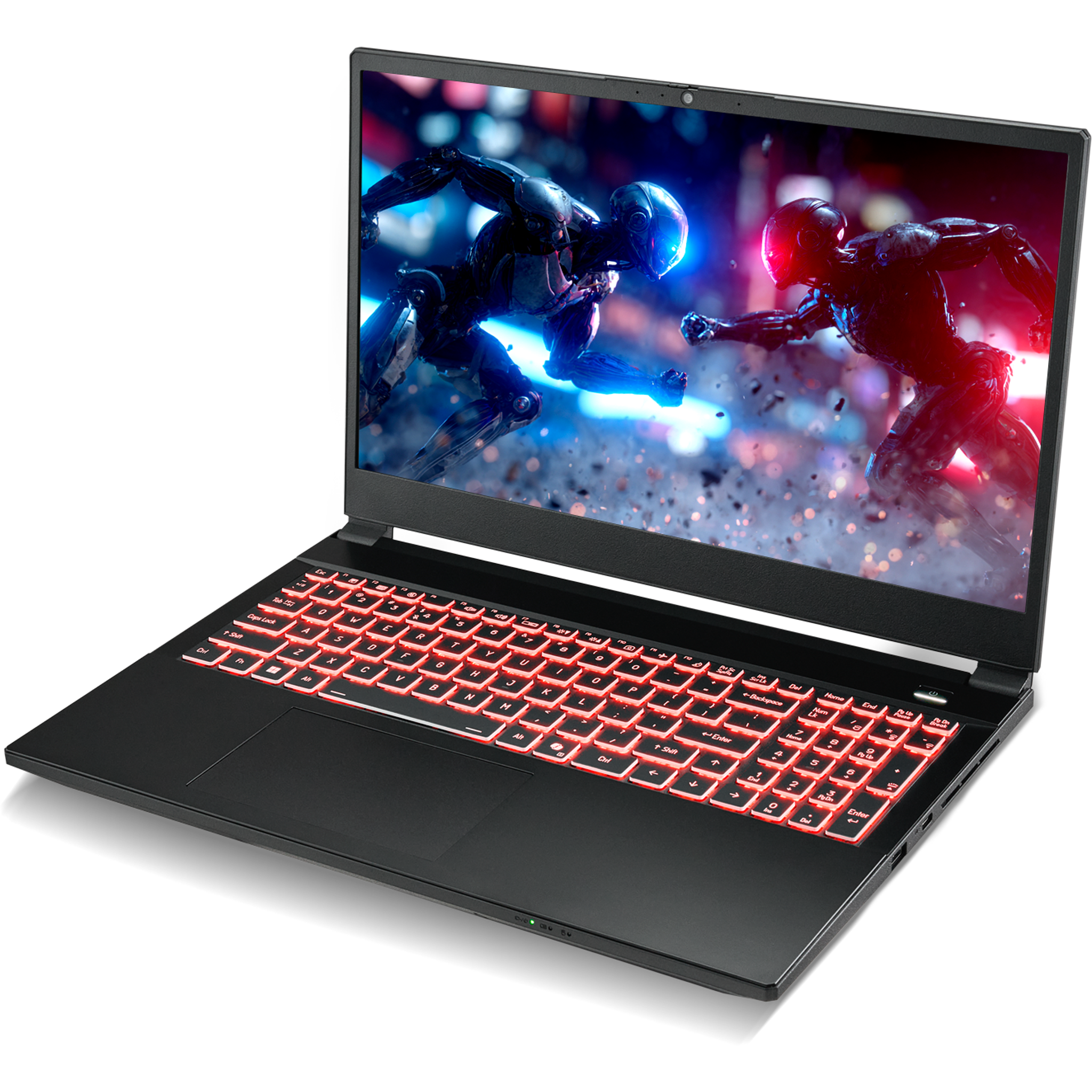 SAGER NP5251M (Clevo V255RNM) Gaming Laptop