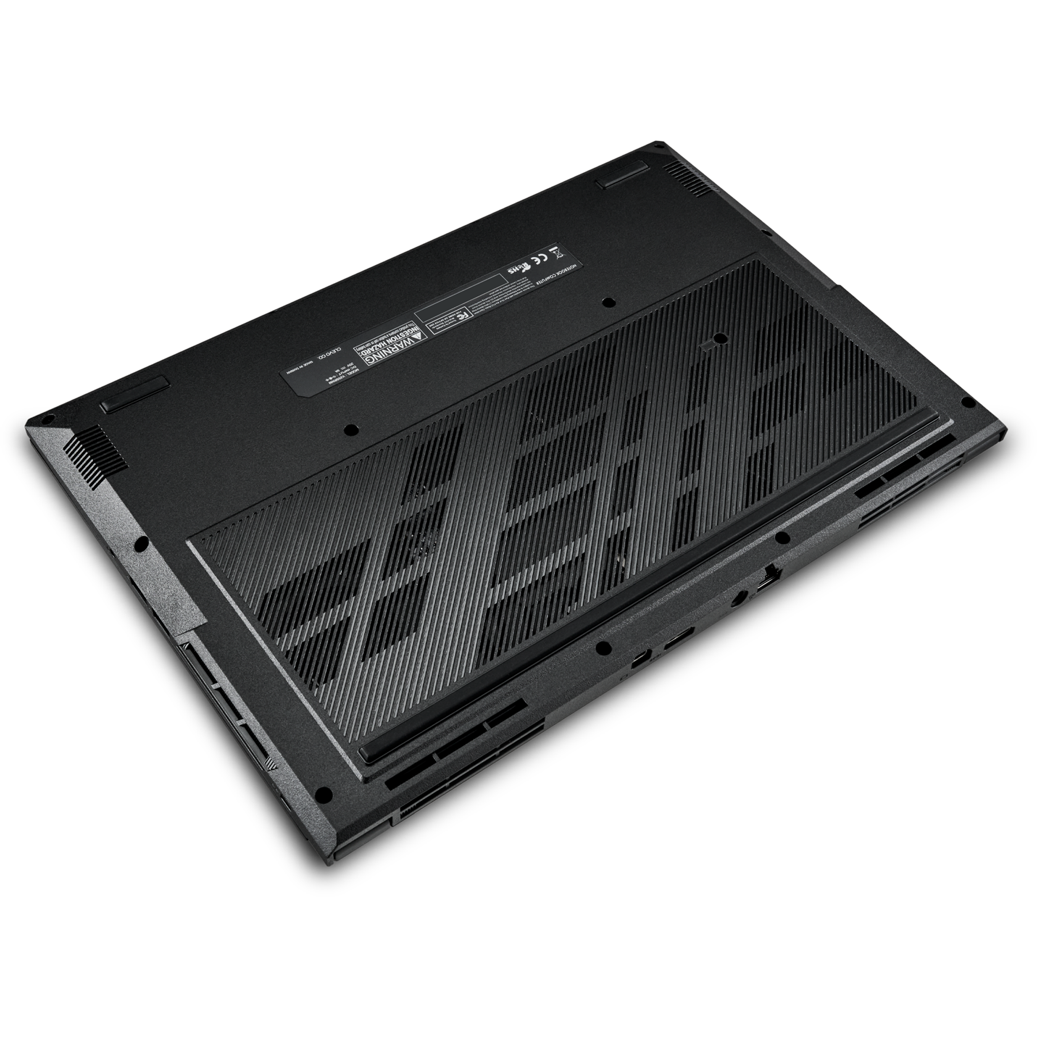 SAGER NP5251M (Clevo V255RNM) Gaming Laptop